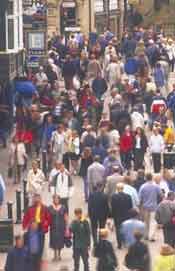 Ricerche sociali e di mercato